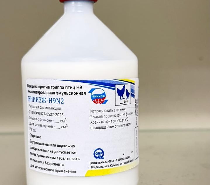 ФГБУ «ВНИИЗЖ» зарегистрировало новую моновалентную полиштаммную вакцину против гриппа птиц H9N2