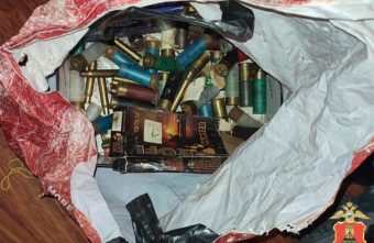 В Тверской области обнаружили две лосиные туши с пулевыми отверстиями