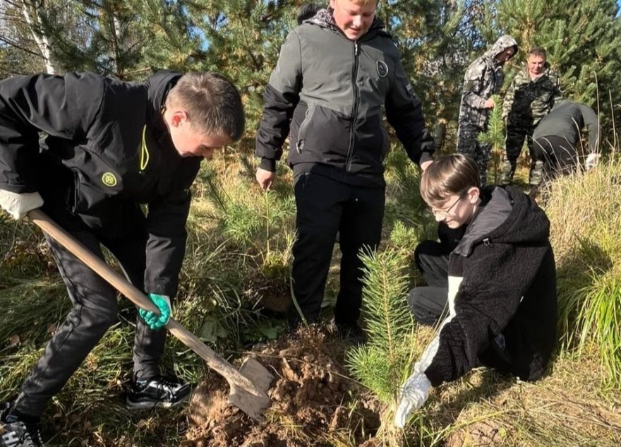 Больше 507 тысяч саженцев и сеянцев деревьев высадили в Тверской области