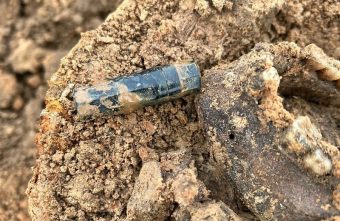 В Тверской области посчастливилось найти красноармейца с идеальным медальоном В Тверской области посчастливилось найти красноармейца с идеальным медальоном