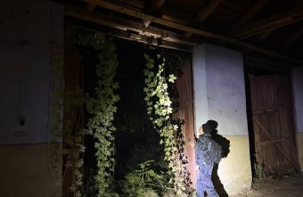 Волонтеры с собаками и беспилотником четыре дня искали пропавшего в Тверской области Волонтеры с собаками и беспилотником четыре дня искали пропавшего в Тверской области