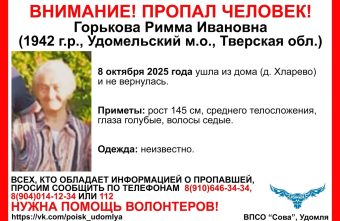 В Тверской области пожилая женщина ушла из дома и не вернулась ушла