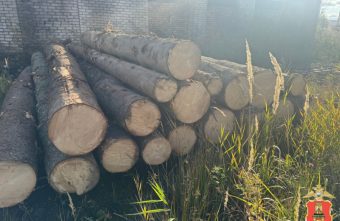 Ради бани житель Тверской области стал "чёрным лесорубом" Ради бани житель Тверской области стал "чёрным лесорубом"