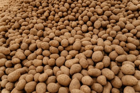 Больше 1500 семей Тверской области получили фрукты и овощи