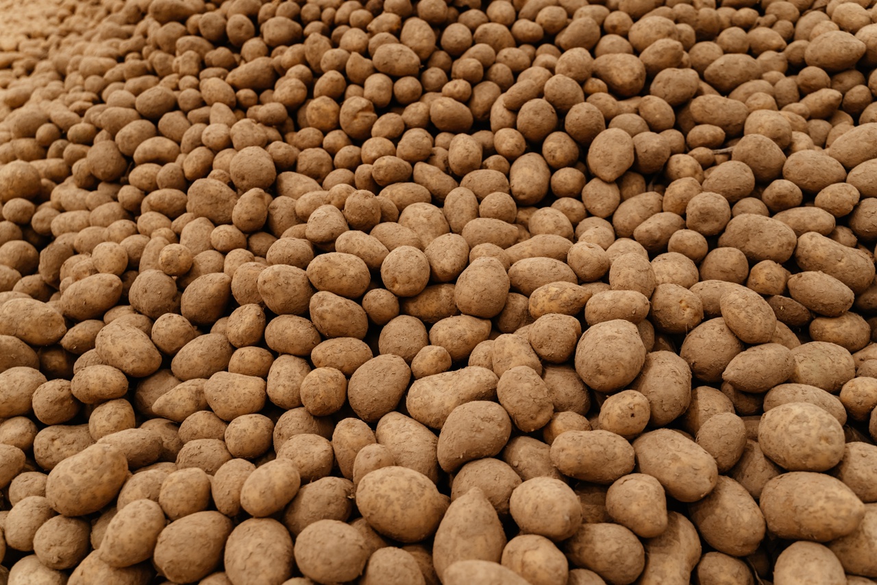 Больше 1500 семей Тверской области получили фрукты и овощи