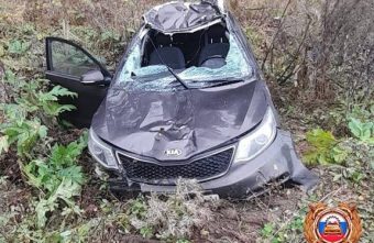 В Тверской области лось отправил в больницу двух человек лось