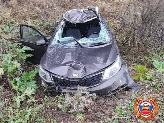 В Тверской области лось отправил в больницу двух человек лось