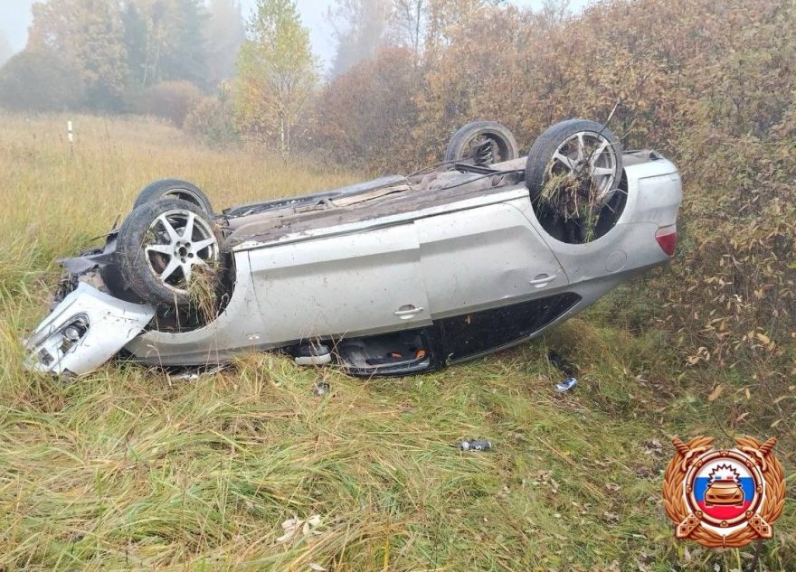 В Тверской области из-за лося перевернулся Volkswagen лося