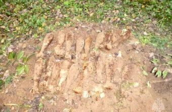 24 взрывоопасных предмета времён войны обезвредили в Тверской области войны