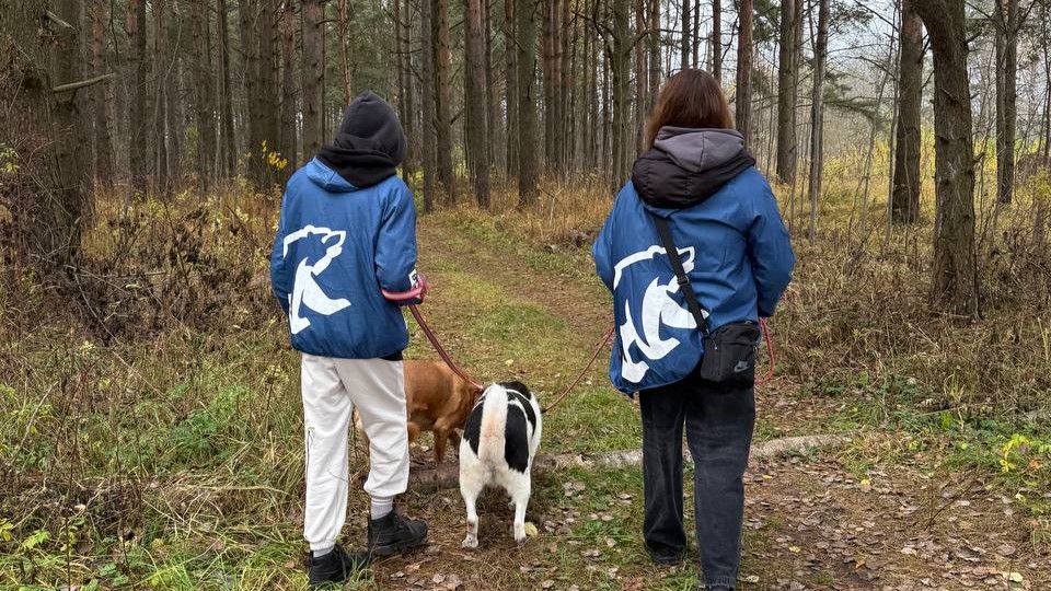 Партийные активисты вновь посетили приют для животных Партийные активисты вновь посетили приют для животных