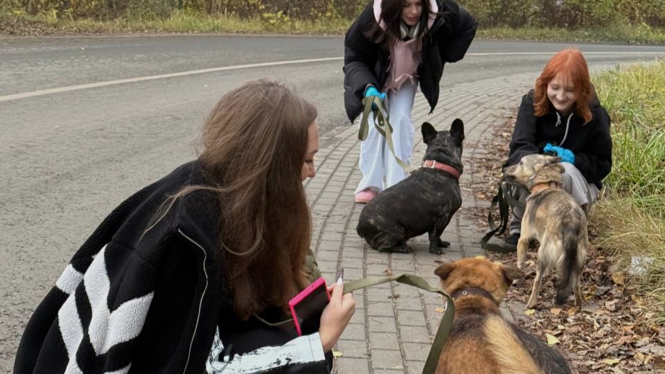 Партийные активисты вновь посетили приют для животных