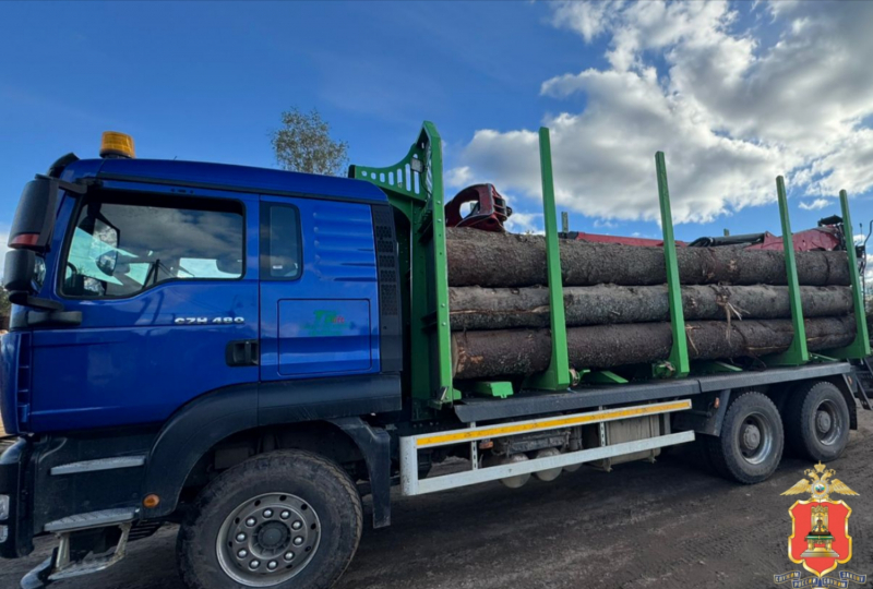 Ради бани житель Тверской области стал "чёрным лесорубом"