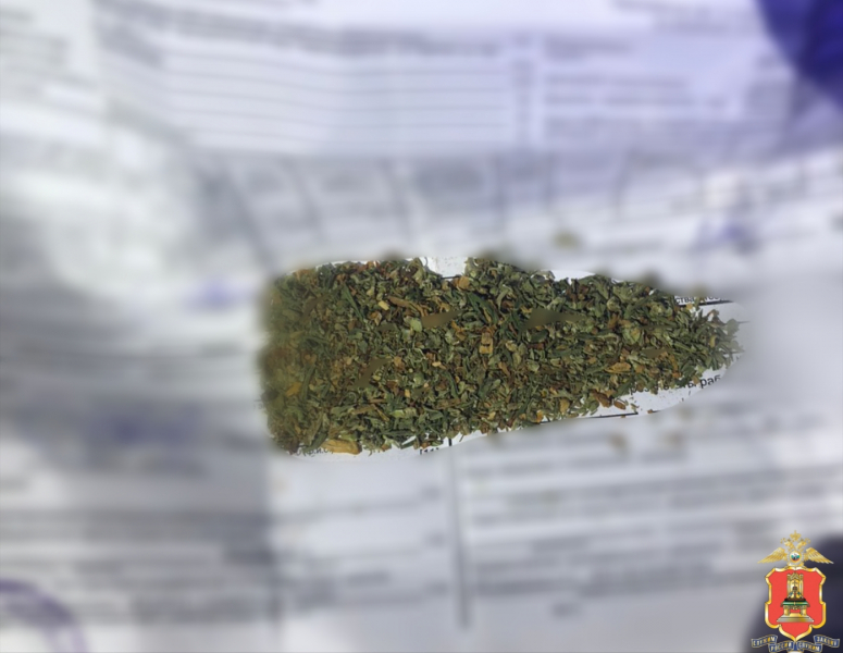 В Тверской области водитель и его пассажирка попались на хранении наркотиков
