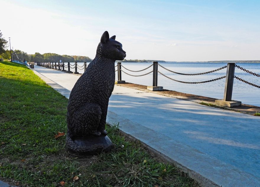 В Тверской области воплотили в жизнь 265 местных инициатив