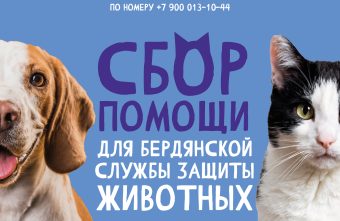 Медиахолдинг РИА «Верхневолжье» открыл сбор помощи для Бердянской службы защиты животных