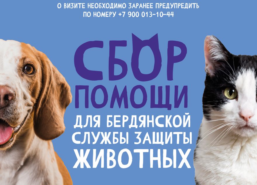 Медиахолдинг РИА «Верхневолжье» открыл сбор помощи для Бердянской службы защиты животных