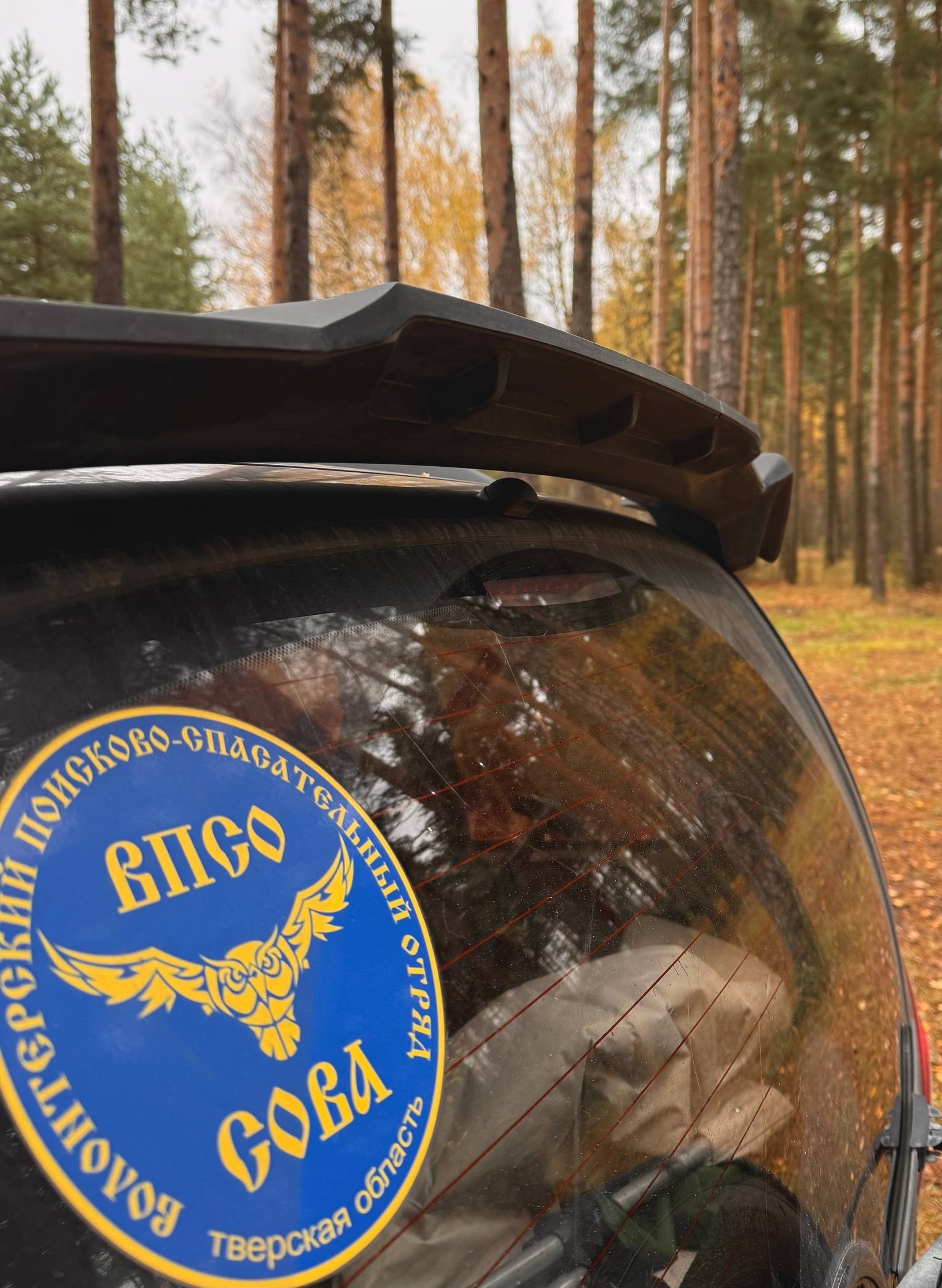 Тверская область - в десятке лучших регионов по лесовосстановлению