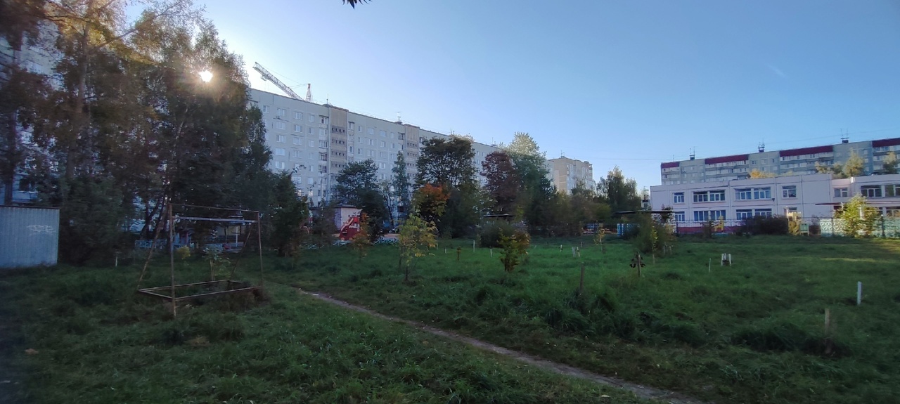 Клюшки, пауки и стены: рейтинг не самых известных тверских топонимов