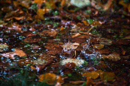 МЧС предупреждает: на Тверскую область надвигается сильный дождь дождь