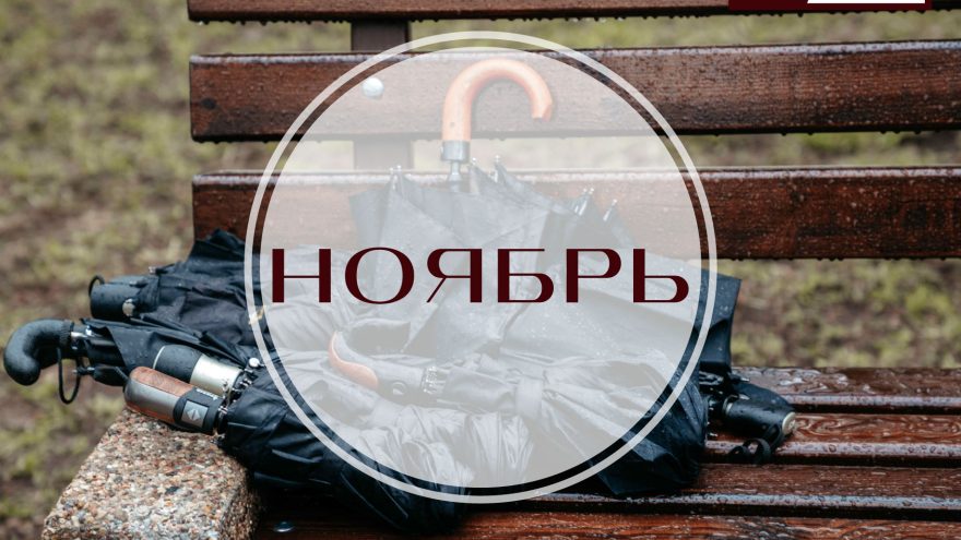Без наследства, суда и связи: вступают в силу законы ноября законы