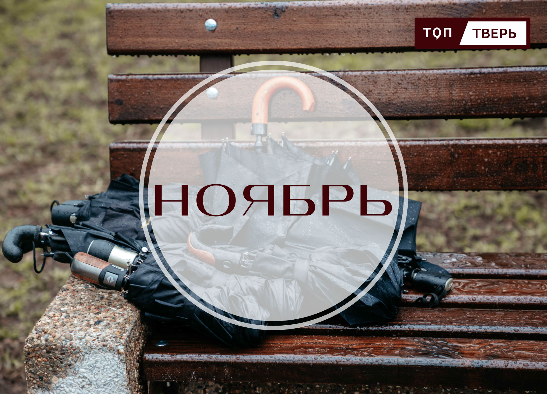 Синоптики сообщили, когда в Тверскую область нагрянут морозы