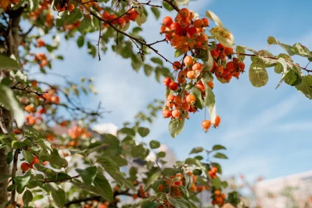 Стало известно, когда наладится погода в Тверской области погода