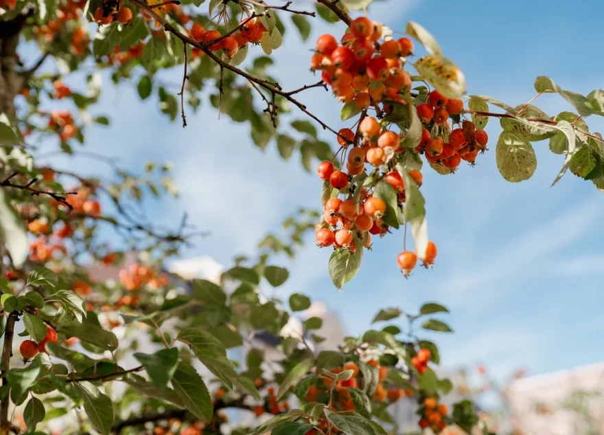 ухудшаться