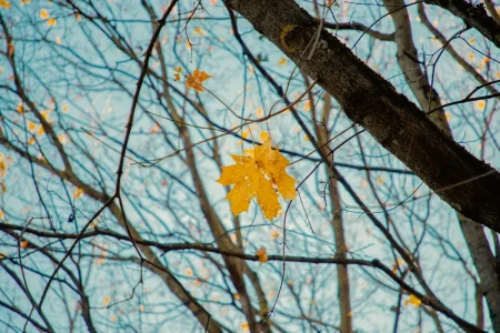 Психотерапевт объяснила, почему осенью тяжелее думается думается