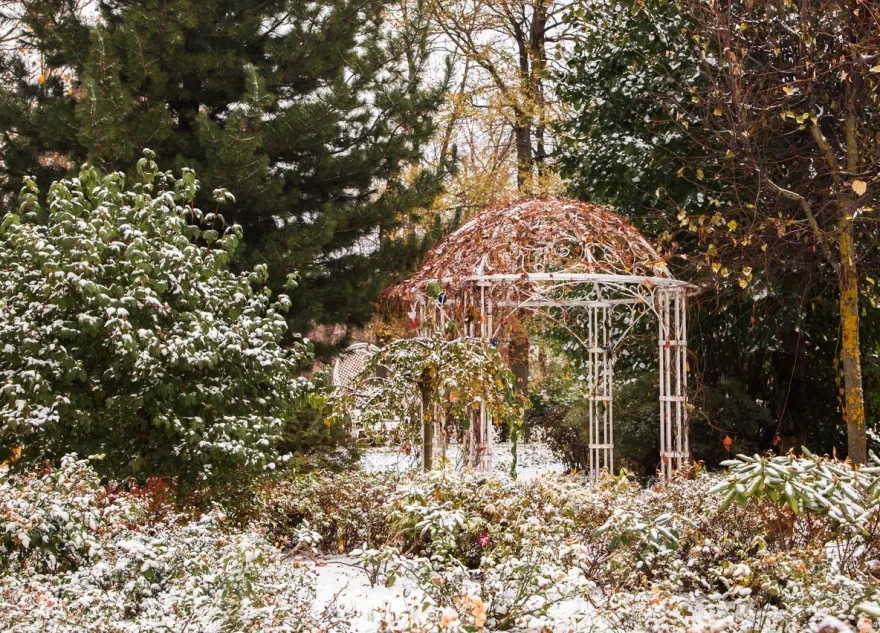 Первый снег в Тверской области выпадет в конце октября первый снег