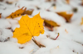 В Тверскую область идут снегопад и минусовая температура снегопады