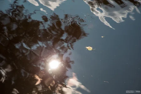 В Твери из реки достали труп мужчины труп мужчины