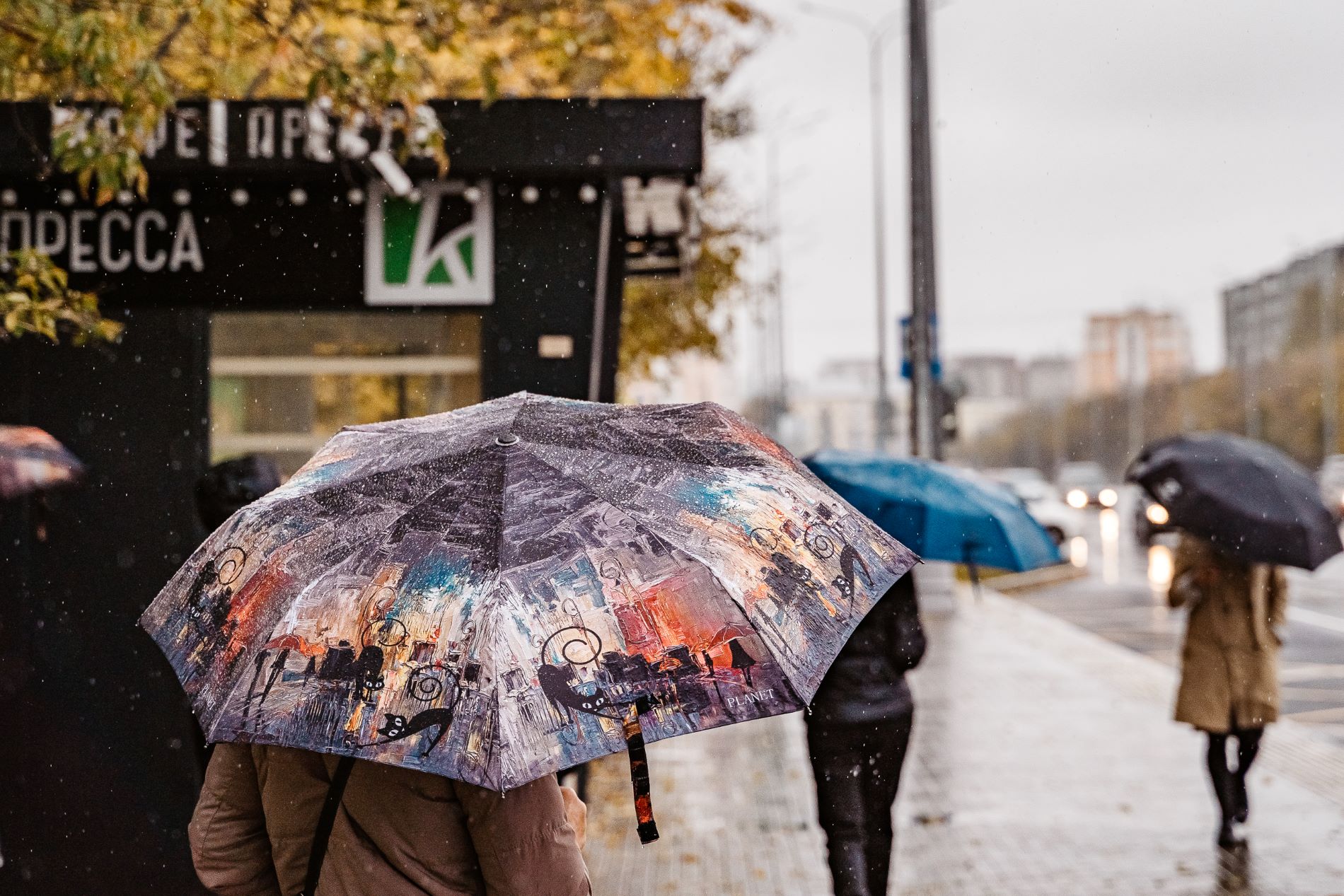 Климатолог рассказал, когда Тверская область превратится в субтропики