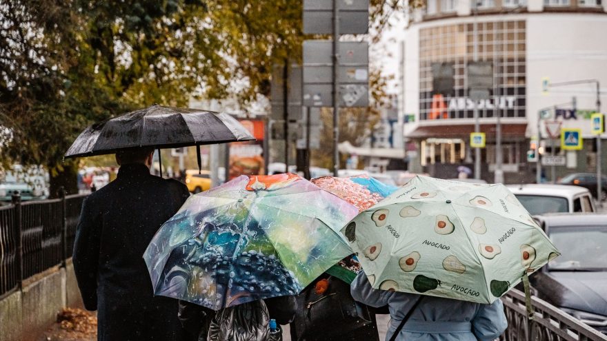Климатолог рассказал, когда Тверская область превратится в субтропики субтропики