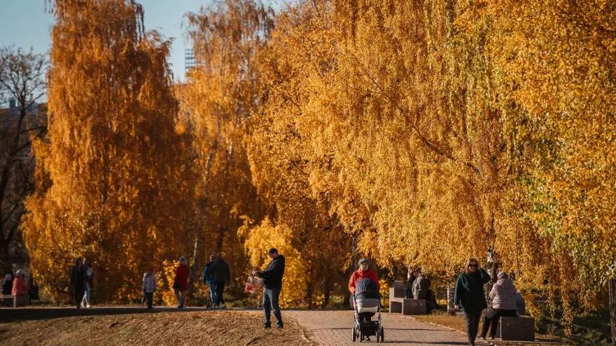 Температура в Тверской области начнет стремительно расти расти