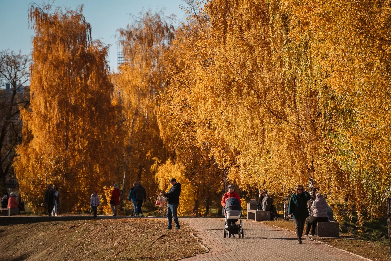 В Твери и области начались массовые проверки водителей
