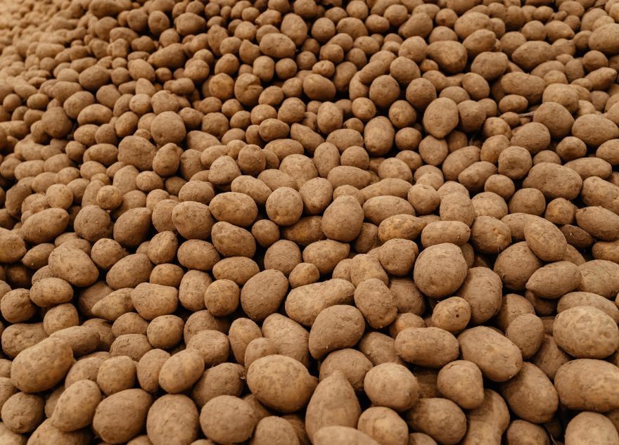 В Лихославльском округе подвели итоги уборочной кампании