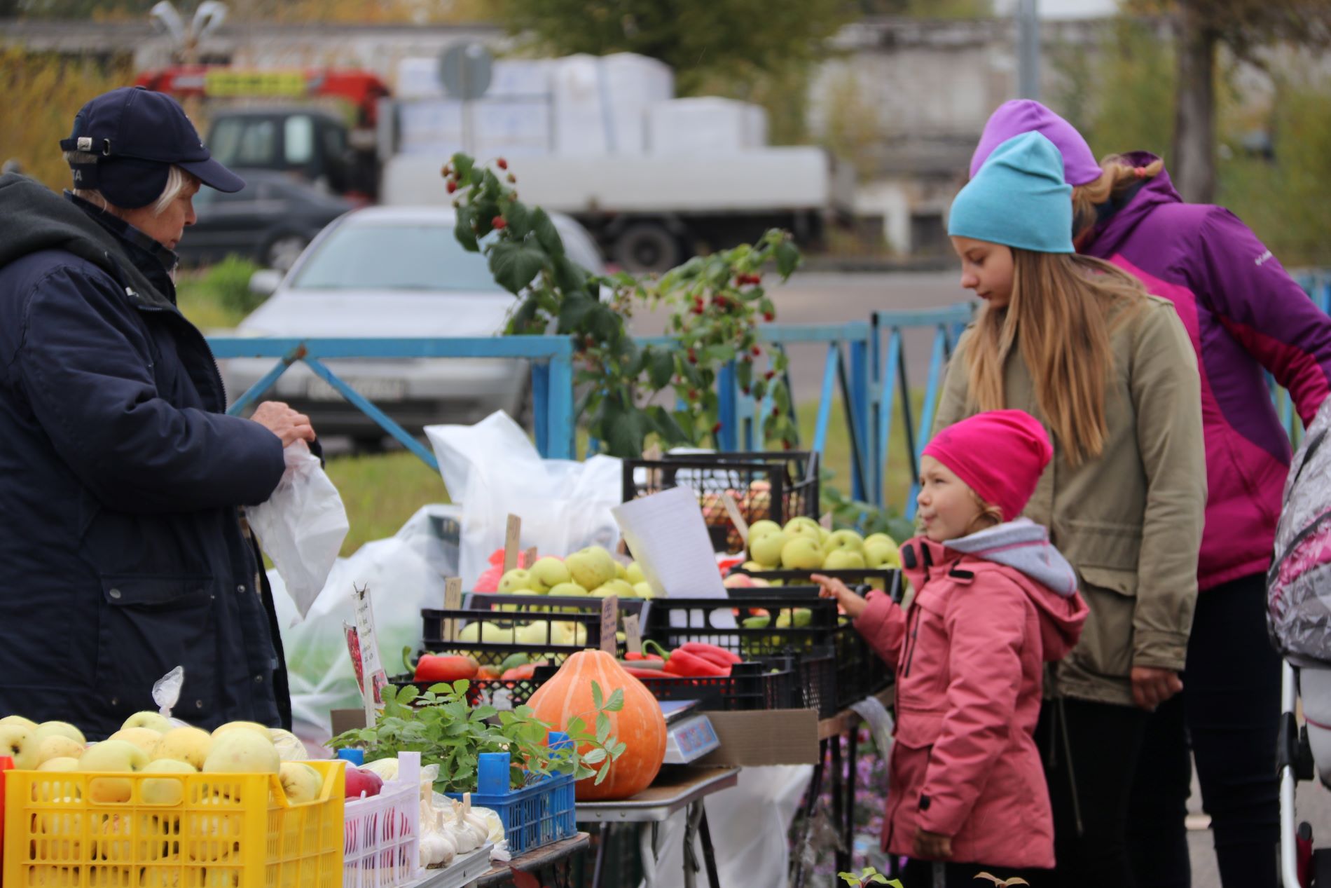 В Торжокском округе старинную усадьбу продают за пять рублей