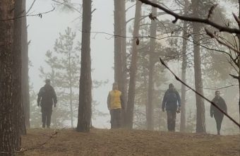 Пенсионерку, которая заблудилась в лесу Тверской области, спасли собаки собаки