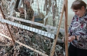 За несколько часов женщины из Тверской области сплели маскировочную сеть для бойцов сеть