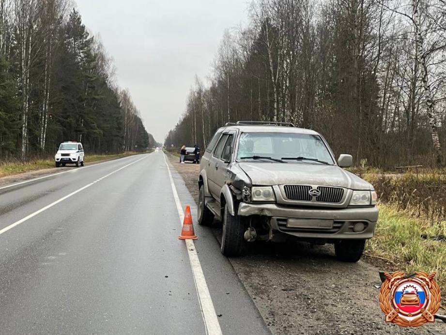 В Тверской области женщина наехала на велосипедиста