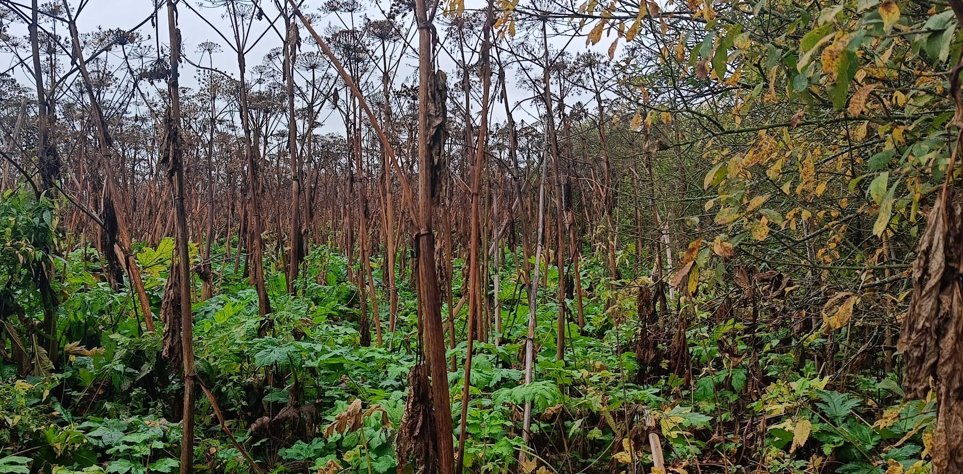 Игорь Руденя провел совещание по вопросам деятельности Правительства Тверской области