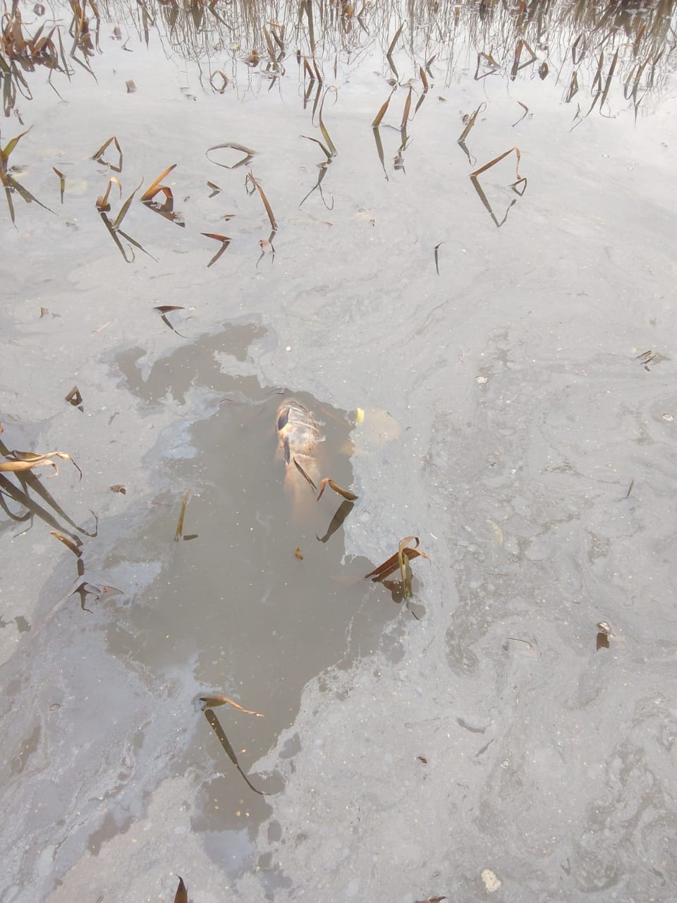 Работница "Магнита" в Тверской области подменила настоящие деньги на поддельные