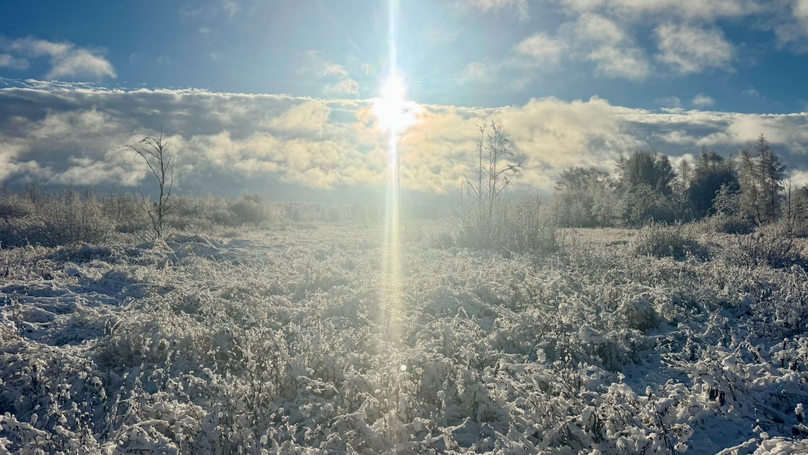 Шесть красноармейцев и их личные вещи обнаружили поисковики в Тверской области