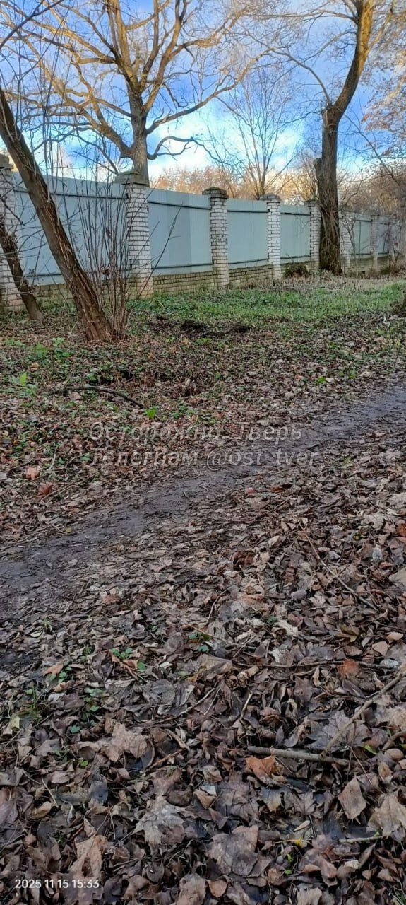 Догхантеры добрались до центра Твери