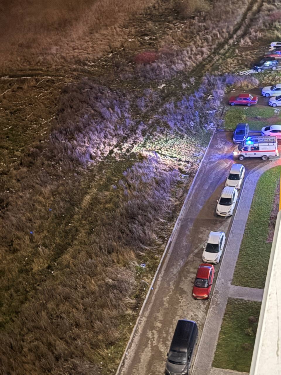 В Твери мужчина провалился в болото