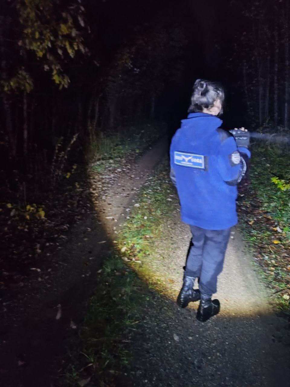 Пенсионерку, которая заблудилась в лесу Тверской области, спасли собаки