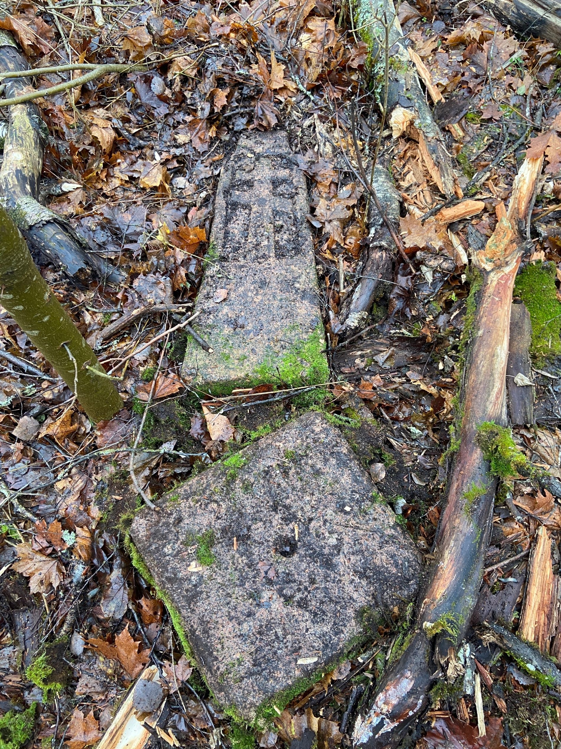 В Тверской области сохранились старинные надгробия рядом с утраченным храмом
