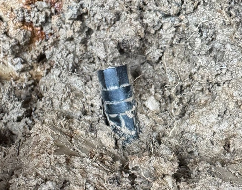 Шесть красноармейцев и их личные вещи обнаружили поисковики в Тверской области