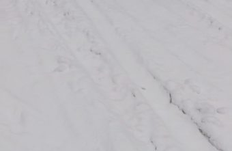 В Тверской области автомобилисты испортили лыжную трассу лыжную трассу