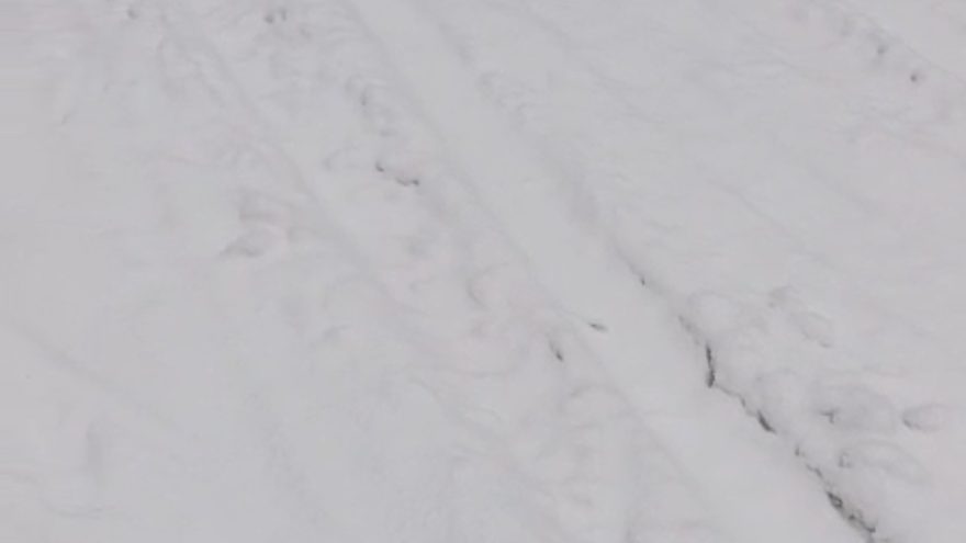 лыжную трассу